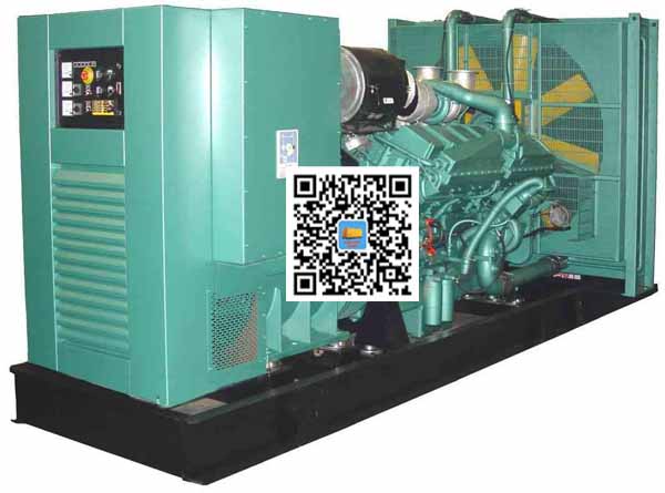 定边笼型异步发电机的电力电子控制技术